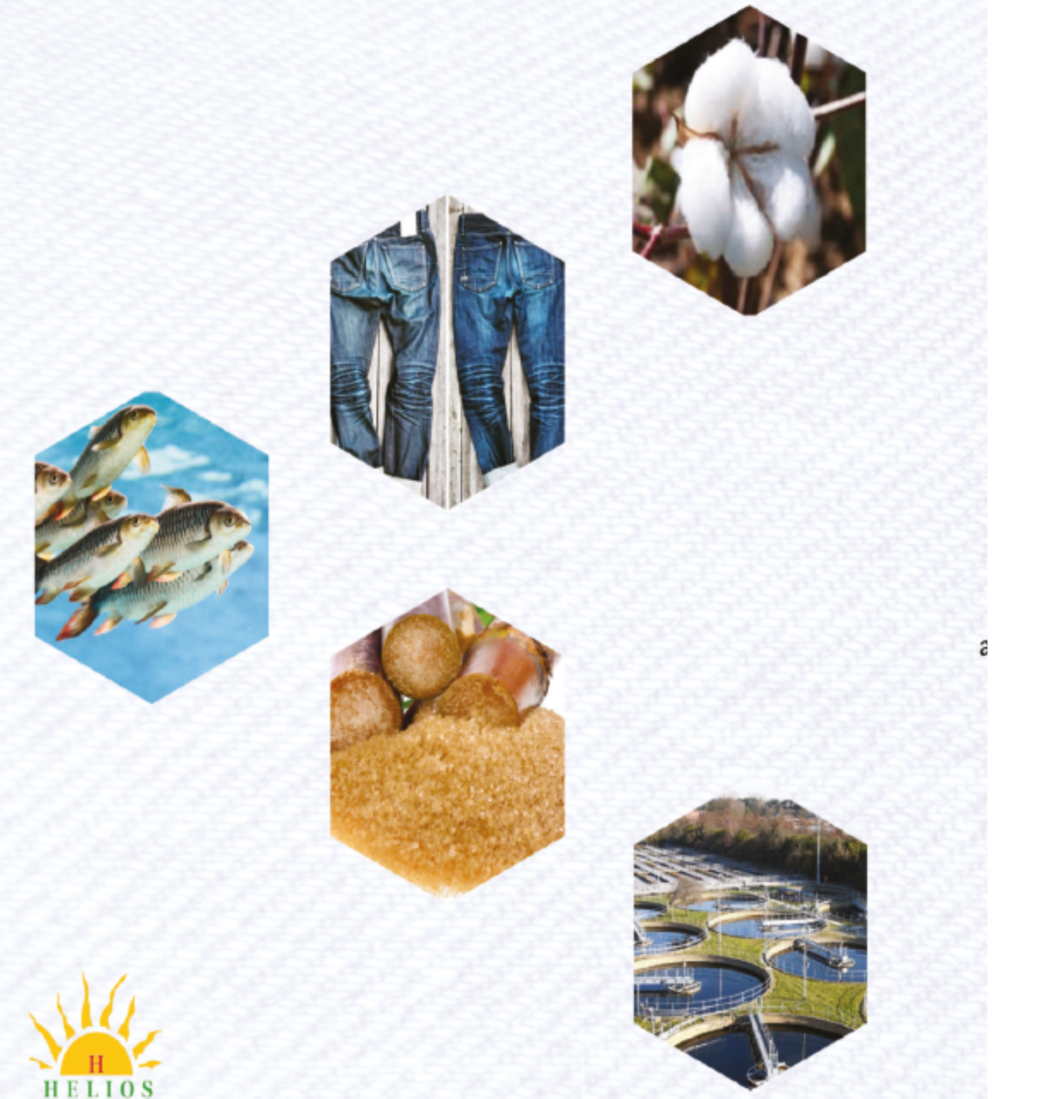 About HELIOS BIOCHEM